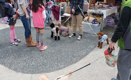 こちらの愛犬グッズの販売ブースではわんちゃんも集合！！！